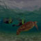 Akumal