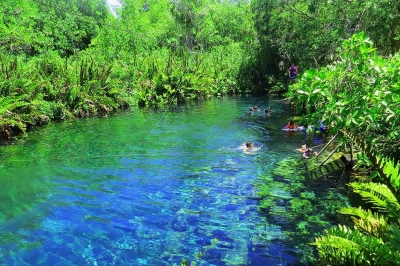 Selva Secreta Jungle Lots For Sale in Tulum near Xcacel