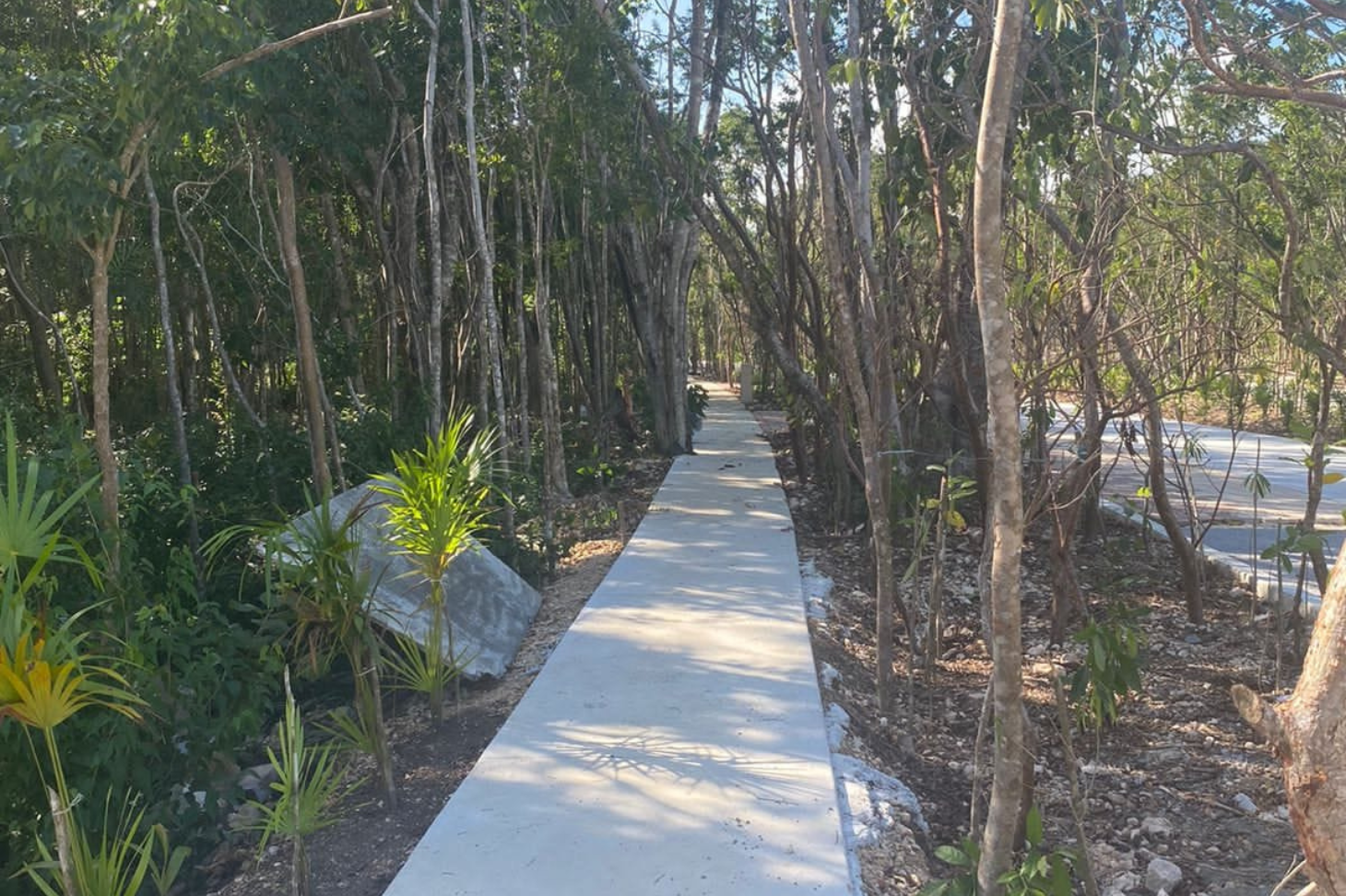 Residential Lot in Country Club in Ciudad Mayakoba