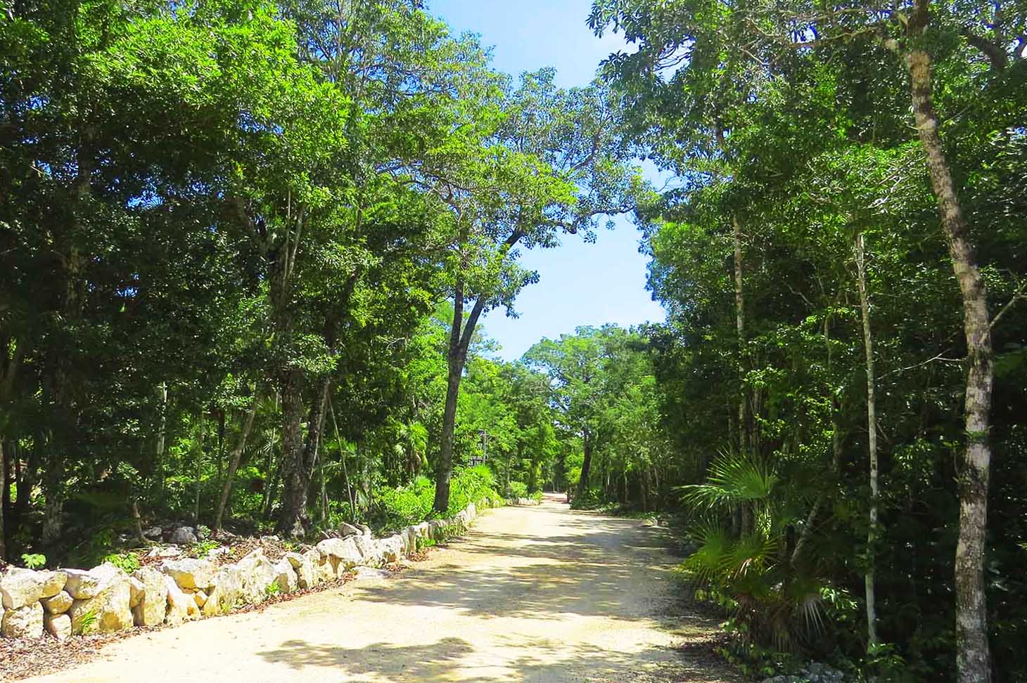 Selva Secreta Jungle Lots For Sale in Tulum near Xcacel