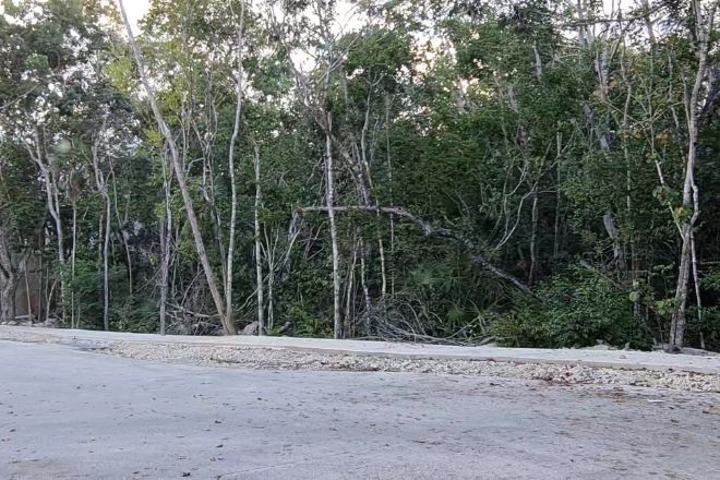 Lot in Aldea Zamá Tulum 