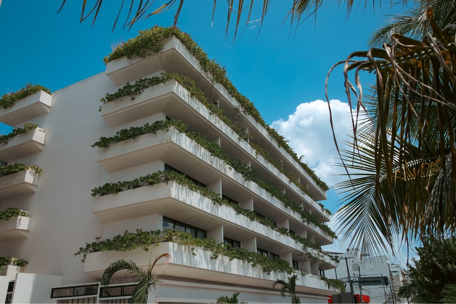 Sensai Downtown | 1-Bedroom Condo with Terrace