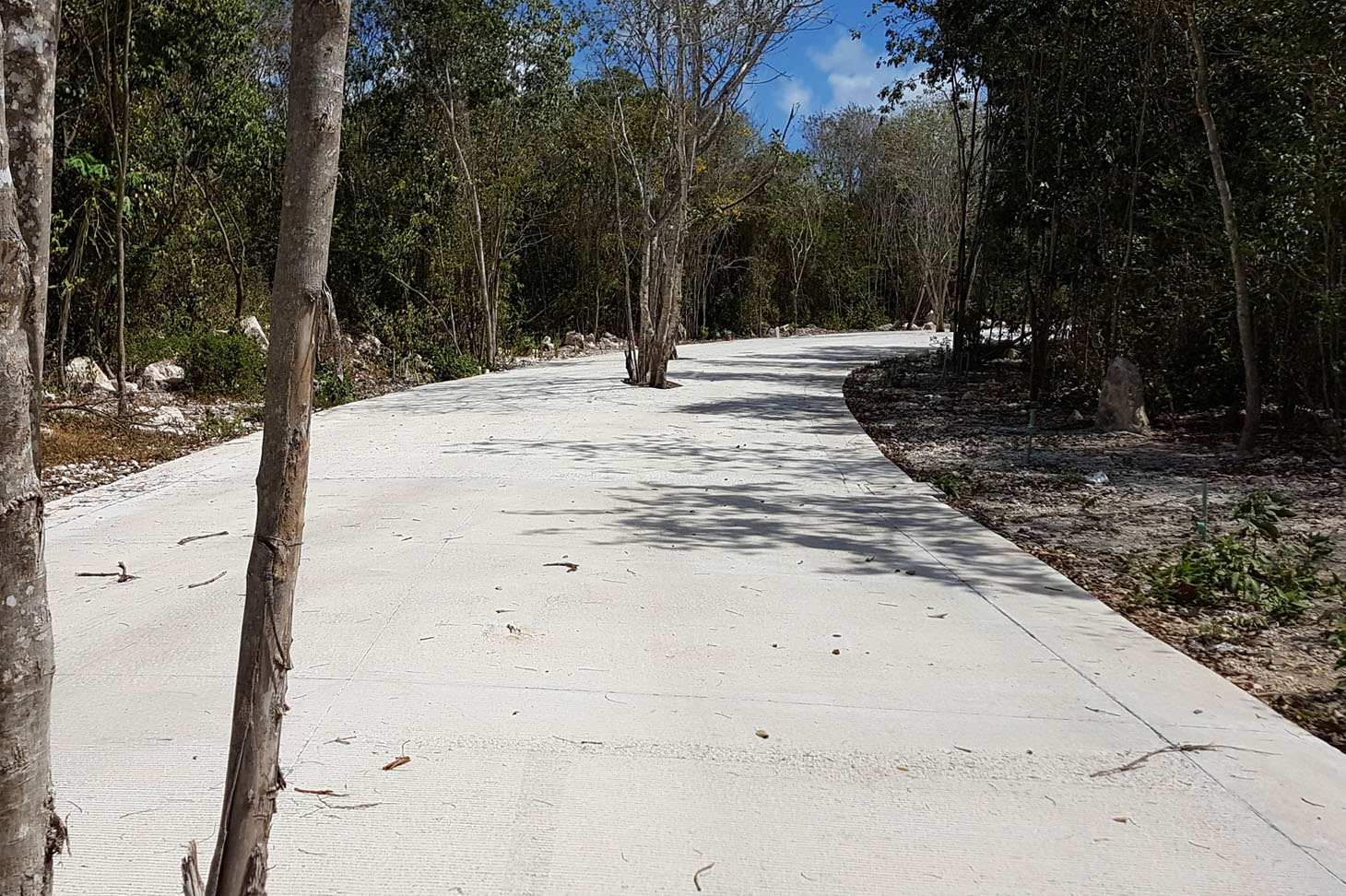 Selvamar Residential Lot